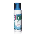 SAVETIS Shampoing Chat