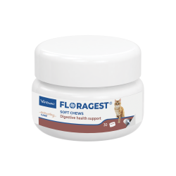 Floragest Chat