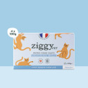Ziggy Chat Adulte Insuffisance Renale Porc Pâtée