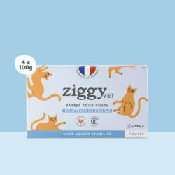 Ziggy Chat Adulte Insuffisance Renale Porc Pâtée