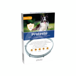 Protesto collier Grand chien