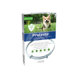 Protesto Collier Petit chien