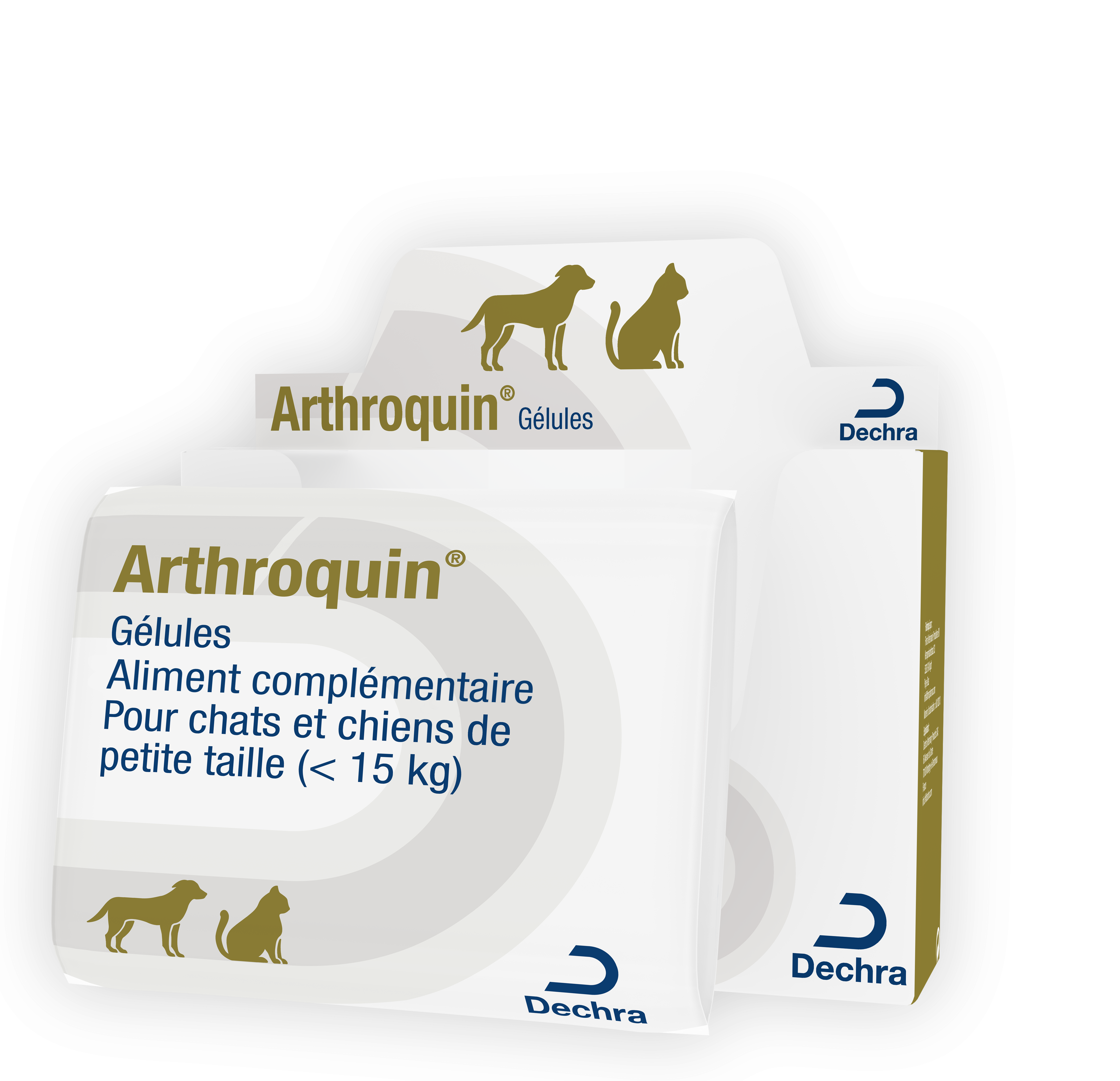 Dechra Arthroquin Pt Chien Et Chat