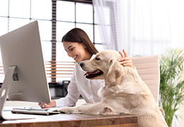 À la mairie de Grenoble on travaille avec son chien
