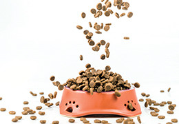 Des chiffres record pour la petfood française