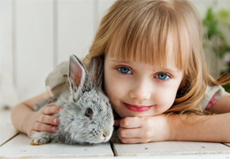 LE LAPIN, nouvel animal de compagnie