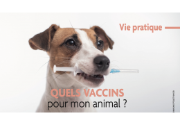 Quels vaccins pour mon animal ?