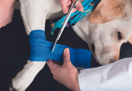 Une assurance, pour quoi faire ?