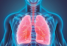 La médecine vétérinaire au service de la prise en charge des arrêts cardiaques chez l’homme
