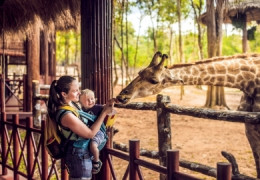 Nos déchets verts pour nourrir les animaux du zoo de la Flèche