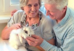 Relation homme-animal Les animaux de la ferme à l’Ehpad