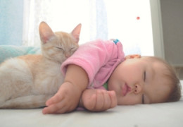 PROTÉGER VOTRE CHAT CONTRE LES PARASITES, C’EST PRÉSERVER SA SANTÉ ET LA VÔTRE!