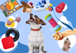 Jouets pour chiens : Quel jouet choisir ? Conseils et astuces