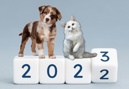 Meilleurs prénoms pour chiens et chats en 2023